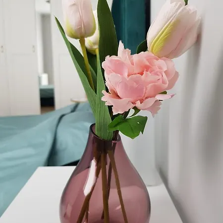 Wylom 8 Apartman