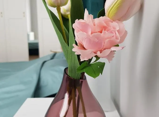 Wylom 8 Διαμέρισμα